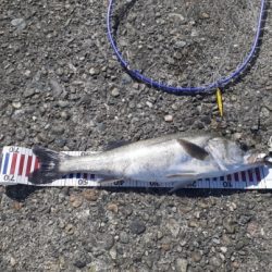 その時は突然に